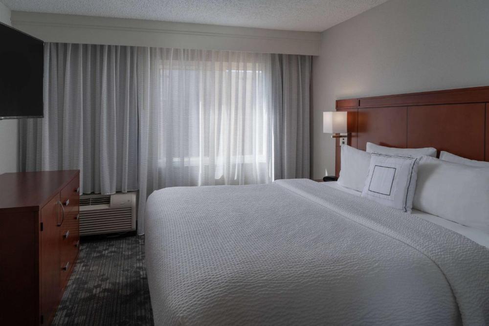 One-Bedroom King Suite with Sofa Bed interior